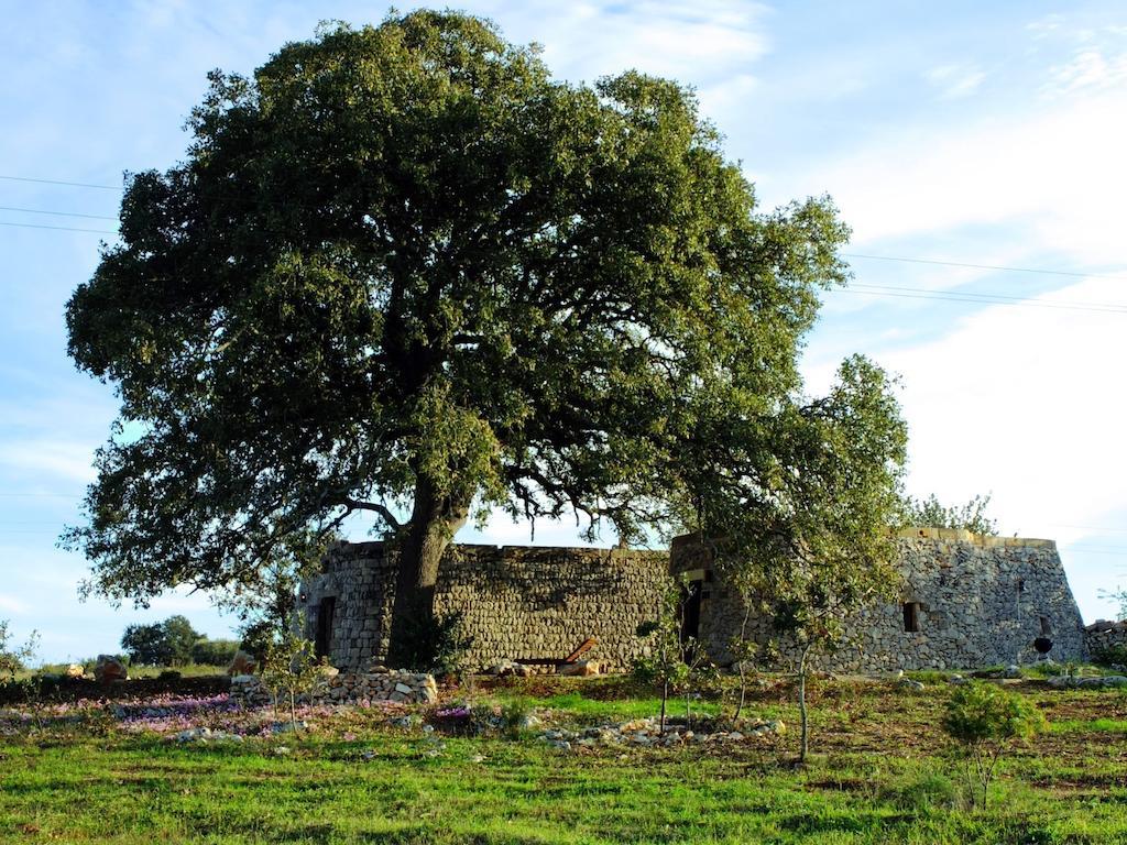 Agriturismo Le Fornelle Tricase Zimmer foto